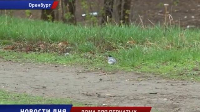 ЭКОЛОГОВ СТУДЕНТОВ ПРИЗВАЛИ НЕ МОЛЧАТЬ о КРАСОТАХ ПРИРОДЫ смотреть онлайн