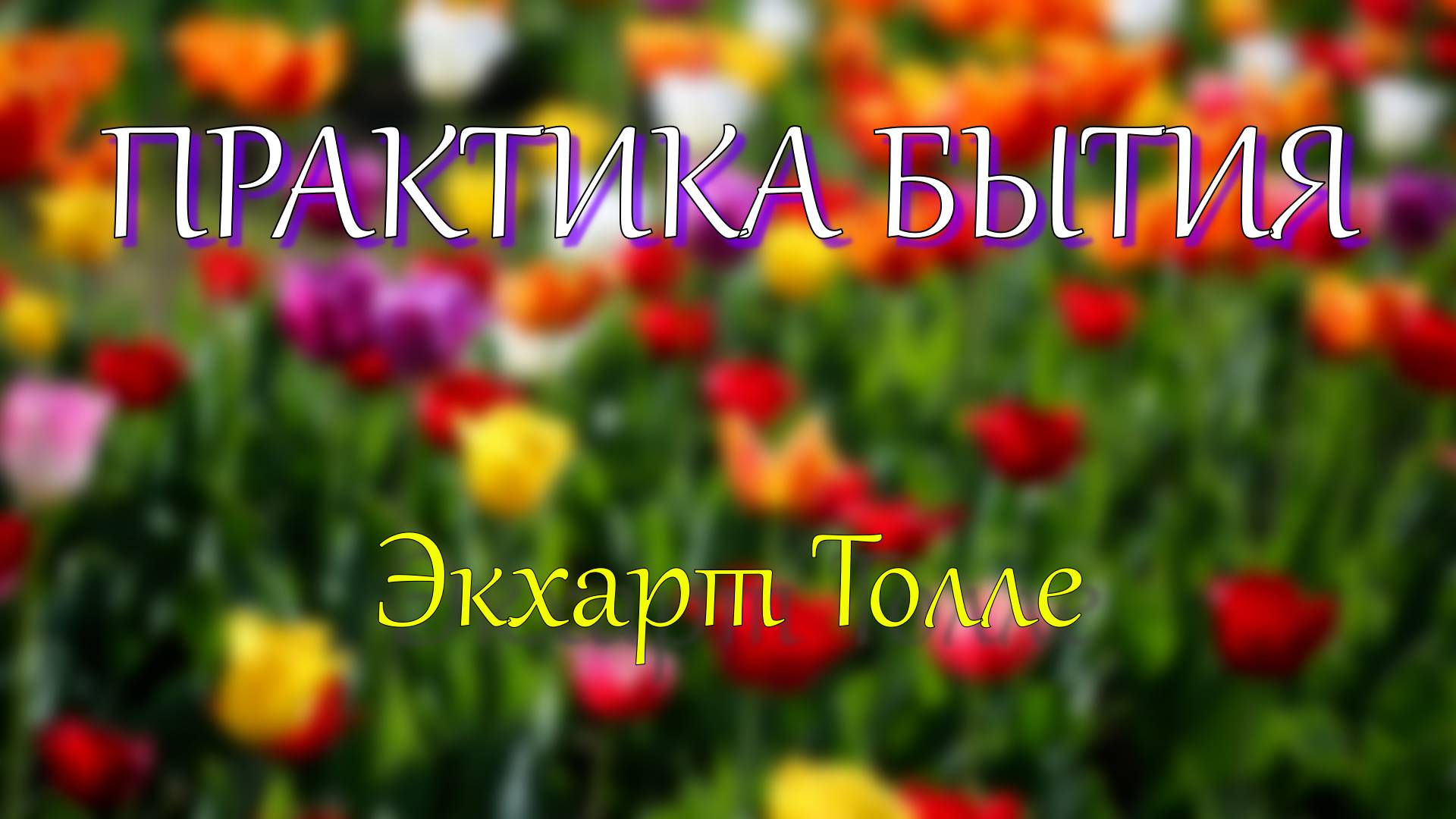Практика Бытия. Экхарт Толле, озв. Никошо.