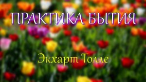 Практика Бытия. Экхарт Толле, озв. Никошо.