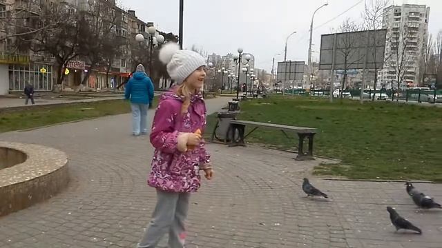 ГОЛУБИ! КОРМИМ! смотреть онлайн