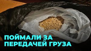 Мигрант и 50-летняя закладчица пойманы с крупной партией наркотиков