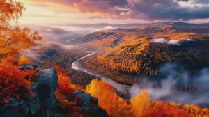 НАСКОЛЬКО СТАР ВАШ МОЗГ_ Тест на общие знания #тесты 3