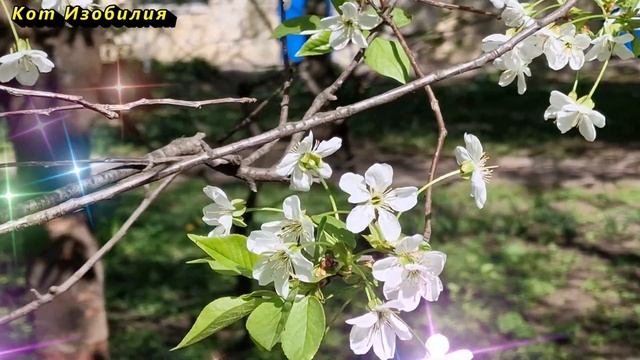 Если нашли эту вещь в доме, вы ахнете, у Вас порча поселилась