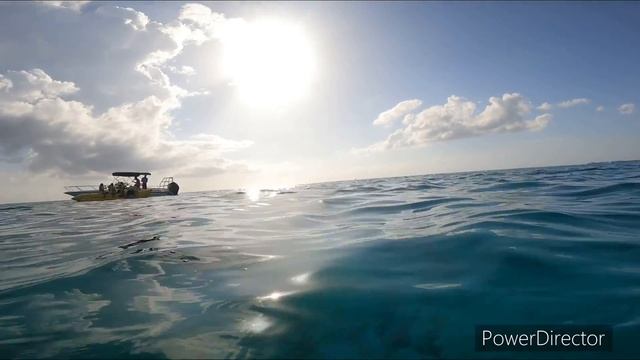 Relaxing at Westin Casuarina Hotel|Muntik Malunod|Cayman Islands смотреть онлайн