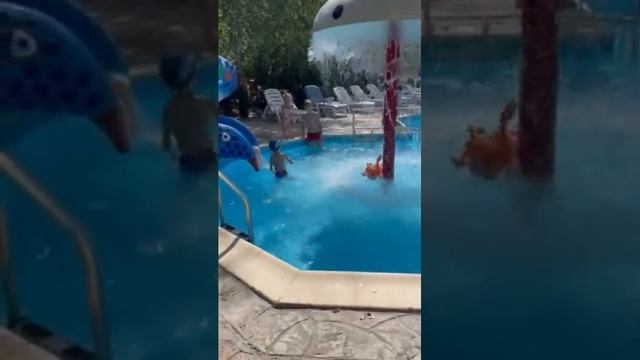 Полярная Медведица бассейн как мяу купаюсь в бассейне смотреть онлайн