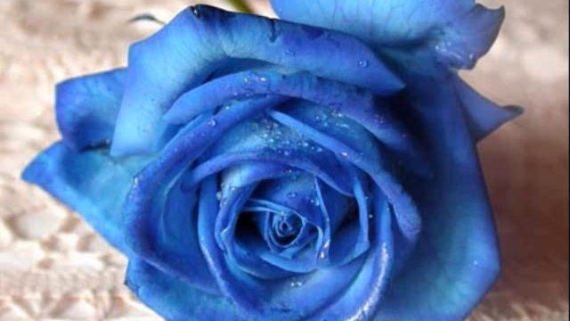 Aurora Black - Blue Snowball Microphone Test #1 смотреть онлайн