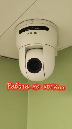 Когда от работы голова идет кругом