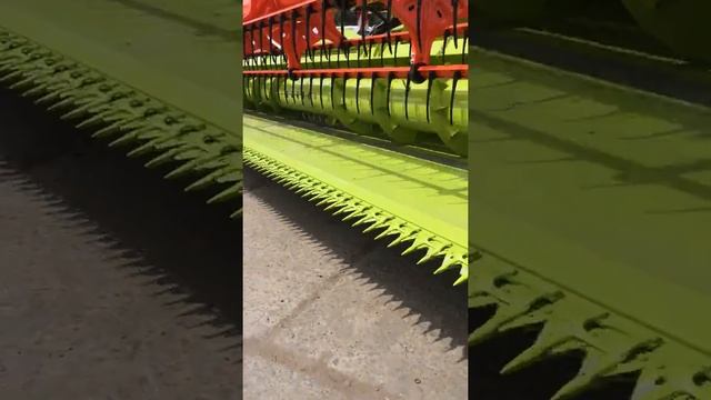 Рапсовый стол на Claas  MaxFlex, ріпаковий стіл
