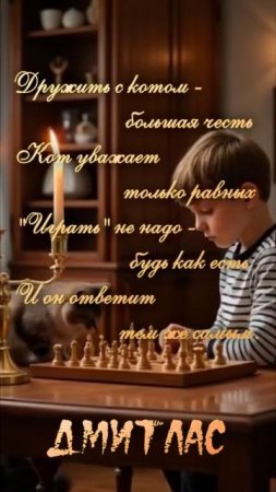 Дружить с котом...