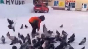 Голубь, голубь,а-а-а!!!