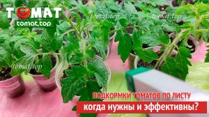 Подкормки томатов по листу. Зачем нужны? Когда эффективны? Когда не имеют смысла?