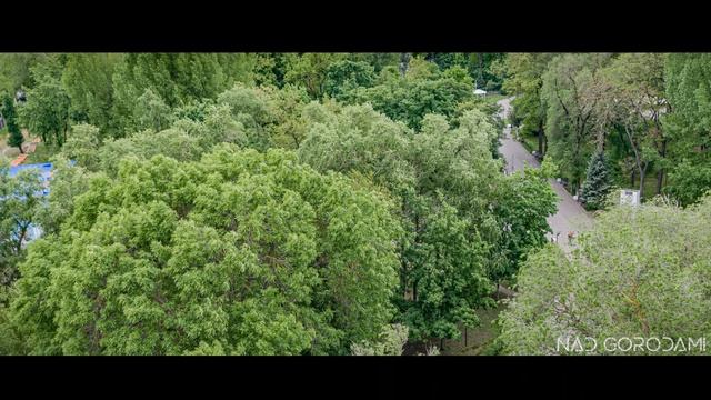 НАД РОСТОВОМ О ГОРОДЕ ПРОМЫШЛЕННОСТИ БАНДИТАХ И МАНЬЯКАХ