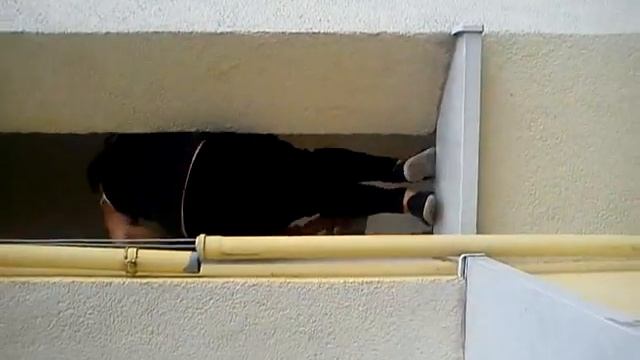 MOV01386.3gp смотреть онлайн