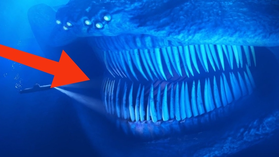 Стихийные бедствия... смотреть онлайн