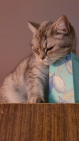 Вредительница