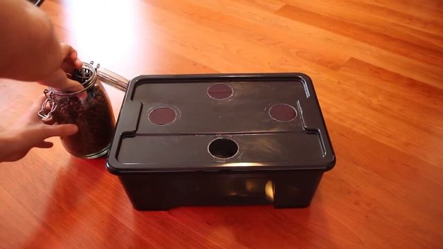DIY hydroponic indoor garden