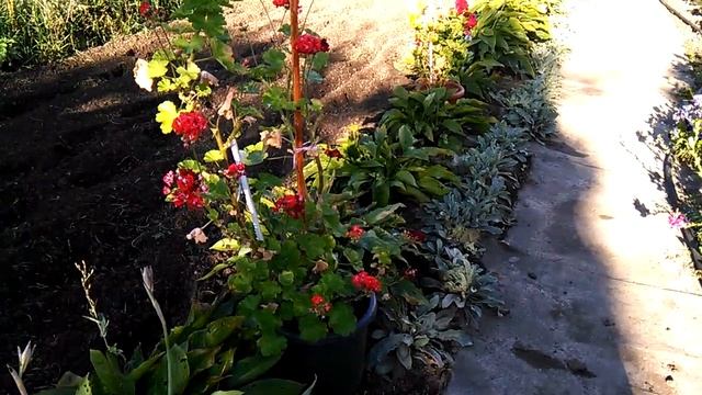 Конец сентября. Цветы смотреть онлайн