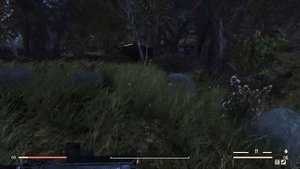 Fallout 76: Где найти цветок дикого арбуза ?