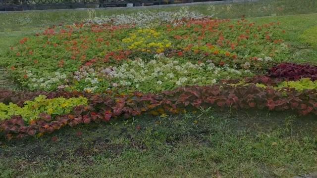 Мой любимый Харьков прогулка 1 июля 2020года смотреть онлайн