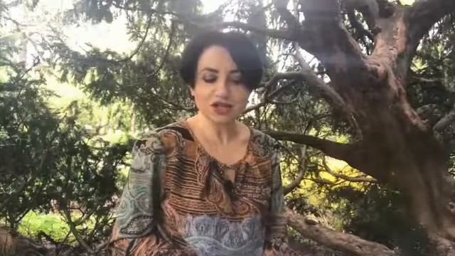 Класифікація основних засобів за групами. Спільне та відмінне за МСФЗ та ПСБО смотреть онлайн