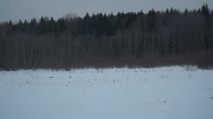 Новый большой вездеход Финист, подвеска, спальник, ГУР и др. по цене квадрика!