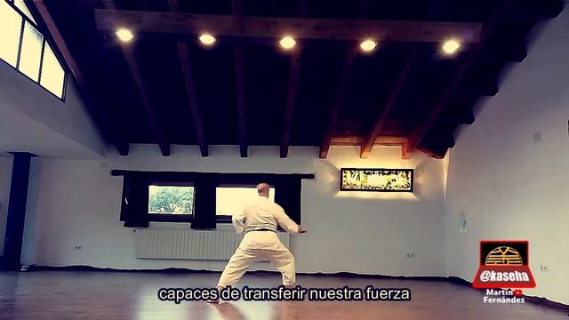🔥FORMALIDAD vs REALIDAD en los KATA de KARATE ➕🎙️Karate TIPS #karate #shotokan #kata смотреть онлайн
