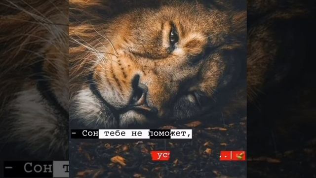 Мудрые слова смотреть онлайн