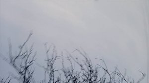 1000011856.mp4