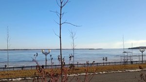 Волга Набережная 8 марта
