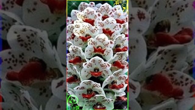 Доброе утро! смотреть онлайн