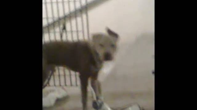 plaza vieja almeria смотреть онлайн