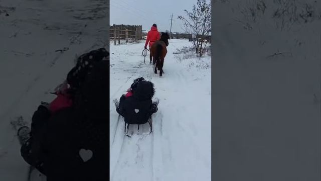 КОНЮШНЯ МИНТАКА ОДЕССА КОРСУНЦЫ январь 2023 смотреть онлайн