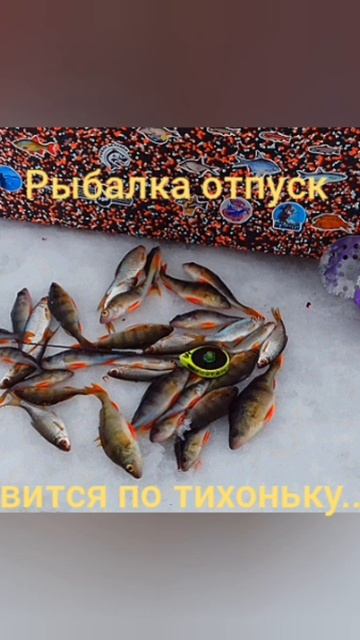 Рыбалка на Карьере🎣 Мормышка 2 мм. Леска 0,085 мм.