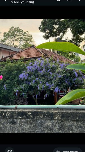 Песня  я рисую на окне