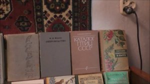 И ЕЩЁ О КНИГАХ. По просьбе товарища. Мончегорск. 2023.