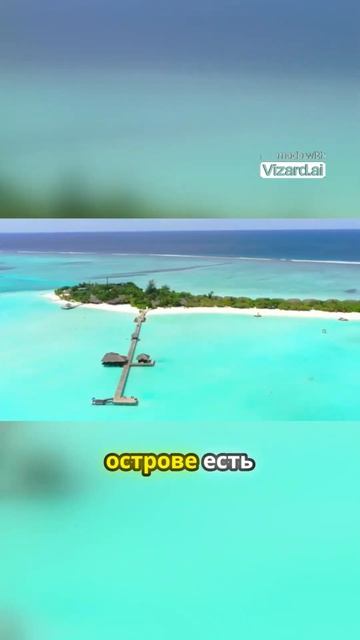 Погружение в рай: лучшие места для дайвинга на Мальдивах! смотреть онлайн