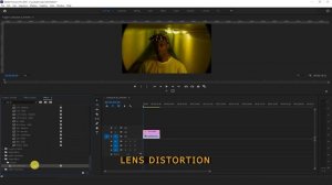 Fisheye Lens Effect - premire pro (NO PLUGIN)