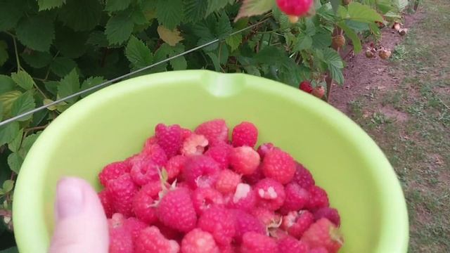 Готовим завтрак смотреть онлайн