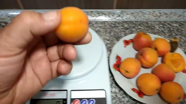 Абрикос Фаркло/Apricot Farclo/ 2021