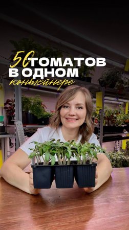 🍅 Эффективный способ посева томатов на рассаду