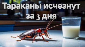 ОТЛИЧНОЕ СРЕДСТВО ОТ ТАРАКАНОВ. ЗА 3 ДНЯ. КАК УНИЧТОЖИТЬ ТАРАКАНОВ? НАРОДНОЕ СРЕДСТВО. УНИЧТОЖЕНИЕ.