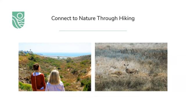 Hiking San Diego Webinar смотреть онлайн