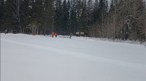 Охотничий турнир 2025г. Лысьвенский район место проведения Куропашка!