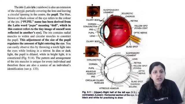 Nervous System and Sense Organs | Structure of Eyeball | L4 | ICSE 10 Biology | Vani Kari смотреть онлайн