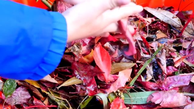 Видео про детей. Маша и Микаэль делают уборку