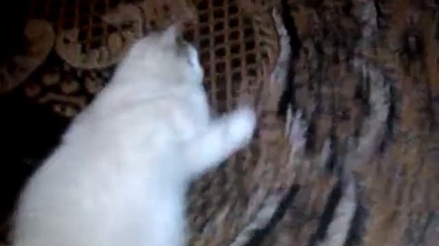 Василий с похмелья. смотреть онлайн