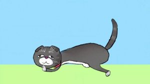 Мисти любит ТЫГЫ ДЫК (meme) Дед Квадробер