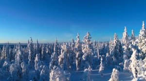 BEST OF VOLCANO IN 8K HDR DOLBY VISION™ 120 FPS