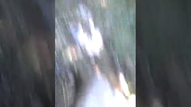 Ящерица смотреть онлайн