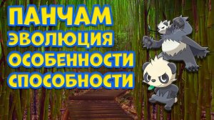 ПАНЧАМ. ЭВОЛЮЦИЯ, ОСОБЕННОСТИ, СПОСОБНОСТИ